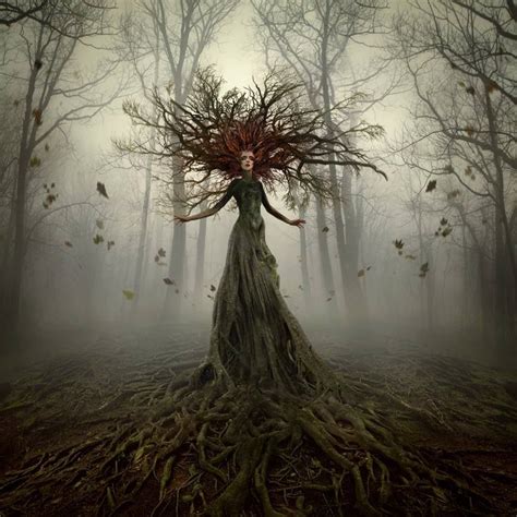 Mndon witch tree